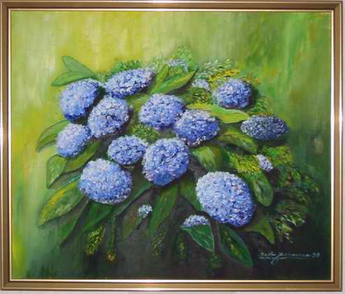 Hortensia